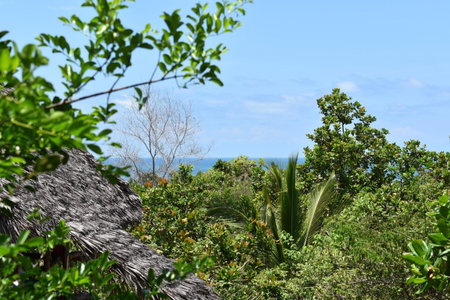 Kitu Kiblu, Kilindoni, Tanzanie