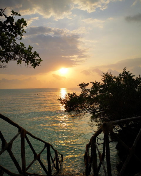 The Island - Pongwe Lodge, Pongwe, Tansania