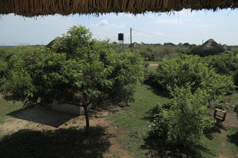 Engiri Game Lodge and Campsite, Katunguru, Uganda