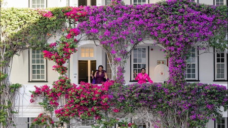 The Winchester Hotel by NEWMARK, Cape Town, South Africa