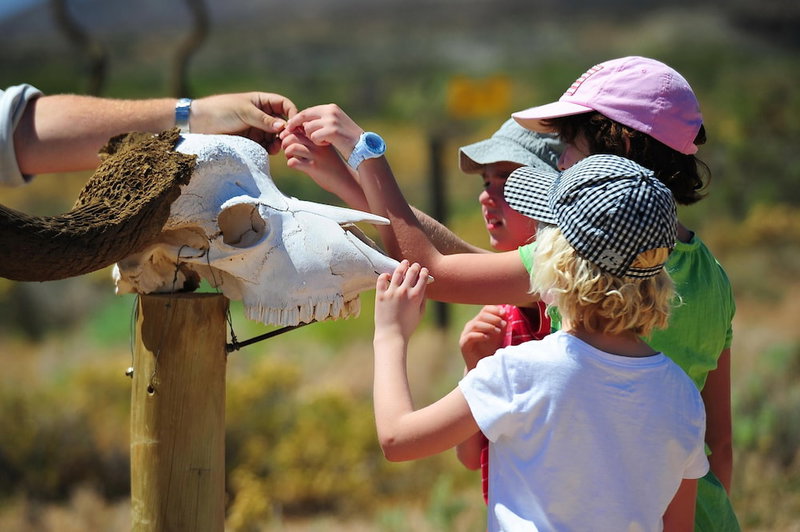Sanbona Wildlife Reserve, Barrydale, Южная Африка