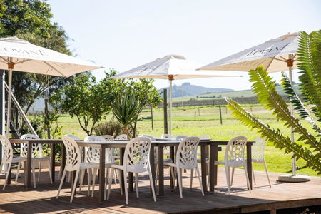 Lovane Boutique Wine Estate and Guesthouse, Stellenbosch, Южная Африка