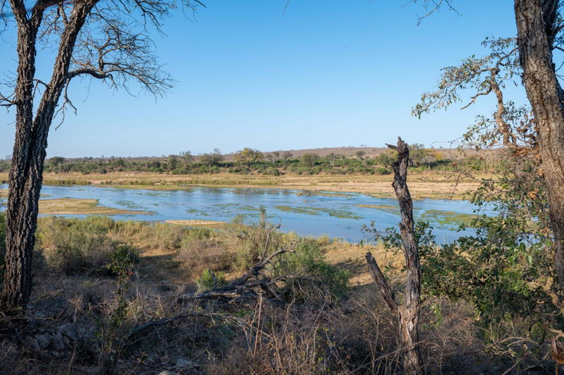 Foxy Crocodile Bush Lodge & Kruger Safaris, Komatipoort, South Africa