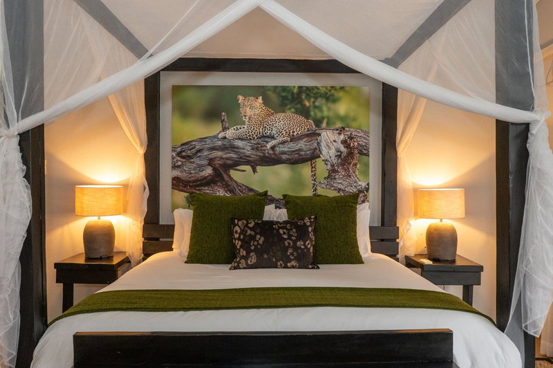 Foxy Crocodile Bush Lodge & Kruger Safaris, Komatipoort, South Africa