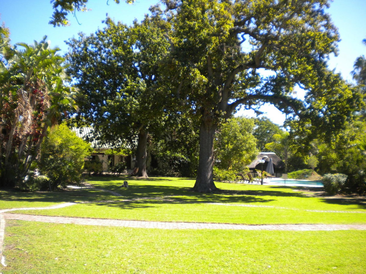 Hotel · The Country Guesthouse, Stellenbosch