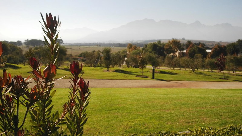 Wild Mushroom Country House, Stellenbosch, Южная Африка