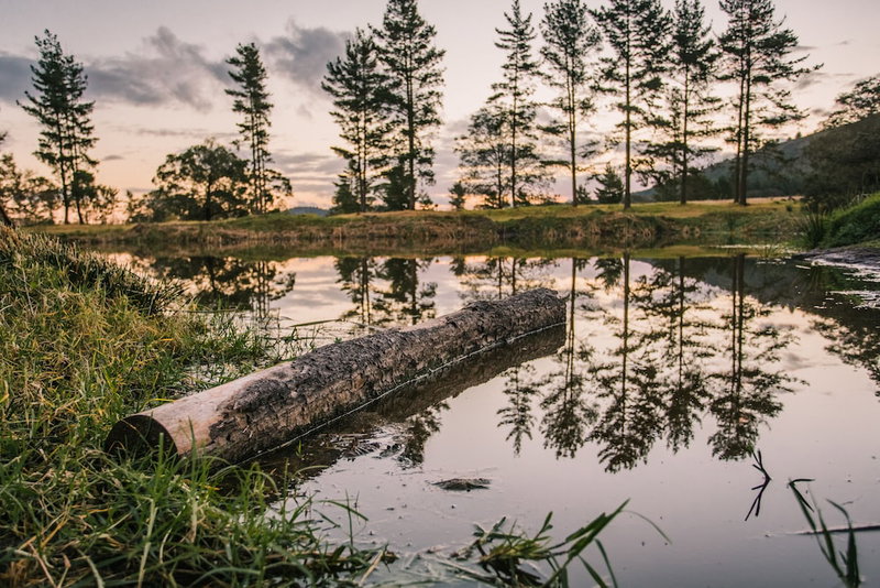 Bella Manga Country Escape, Plettenberg Bay, South Africa