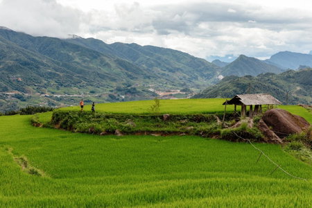 Laxsik Ecolodge, Lao Cai, Vietnam