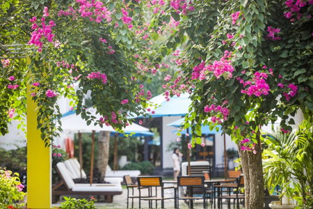 ÊMM Hotel Hoi An, Hoi An, Việt Nam