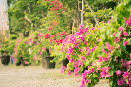 Mercury Phu Quoc Resort & Villas - Free Airport Pick-up, Duong GJong, Вьетнам