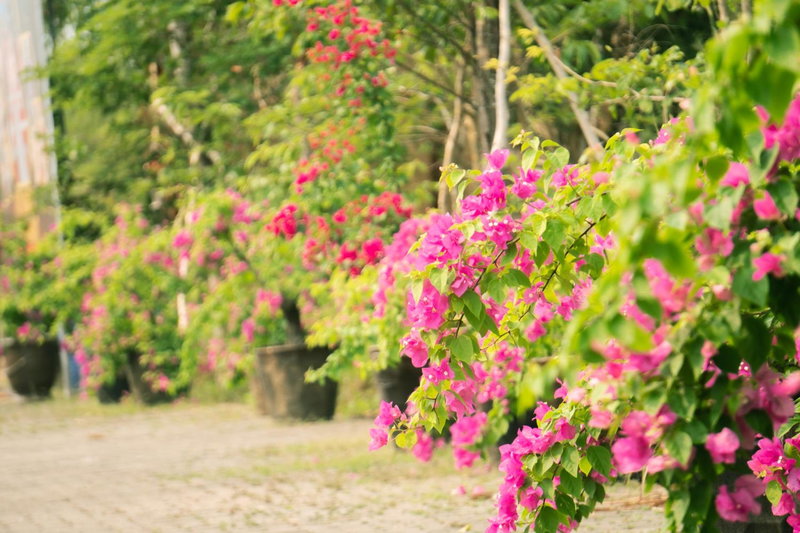 Mercury Phu Quoc Resort & Villas - Free Airport Pick-up, Duong GJong, Вьетнам