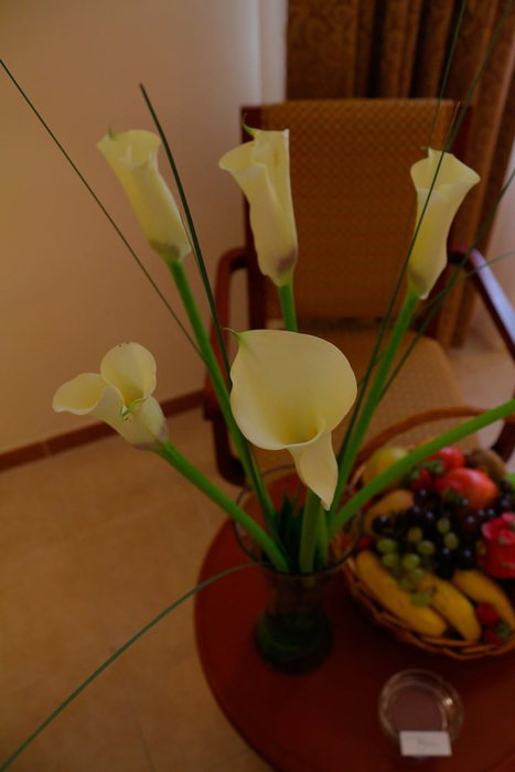Sharjah Premiere Hotel Resort, Sharjah, United Arab Emirates