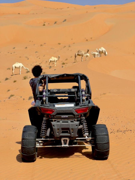 Liwa Nights, Liwa, United Arab Emirates