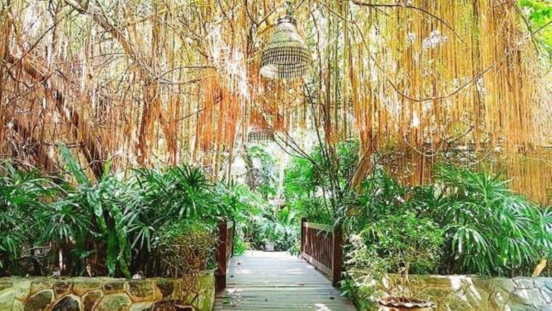 Birds and Bees Resort, Pattaya, Tailandia