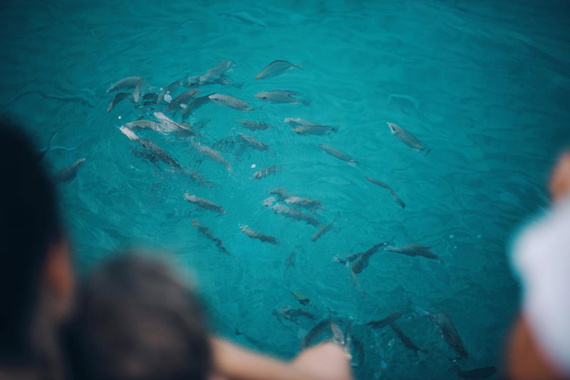 The Beach Natural Resort Koh Kood, Ko Kood, ประเทศไทย