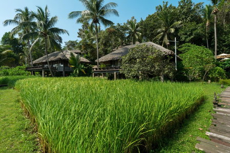 Koh Yao Yai Village, Ko Yao Yai, ประเทศไทย