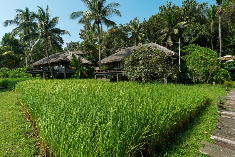 Koh Yao Yai Village, Ko Yao Yai, ประเทศไทย