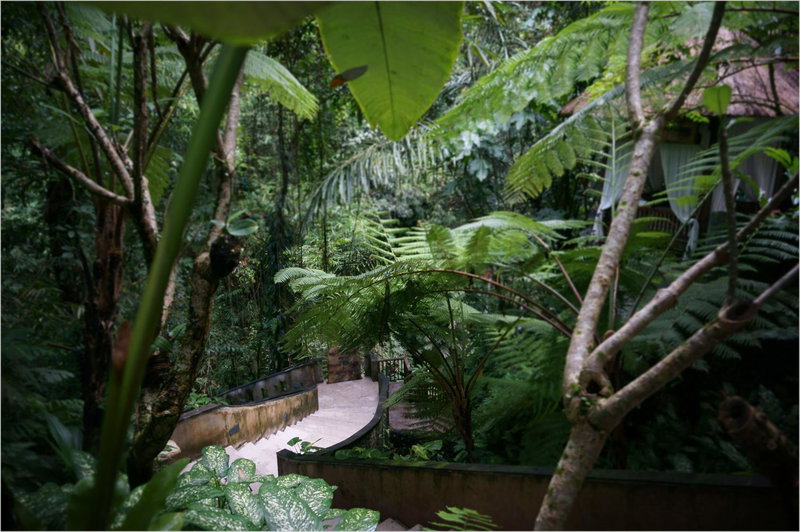 Alam Ubud Culture Villas And Residences, Ubud, Indonesia