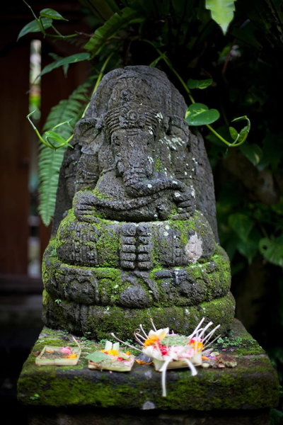 Barong Resort Ubud by Puri Signatures, Ubud, Indonesia