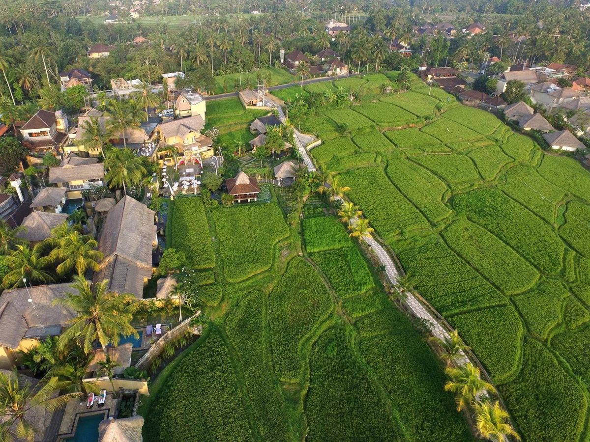 Wapa di Ume Ubud, Indonesia