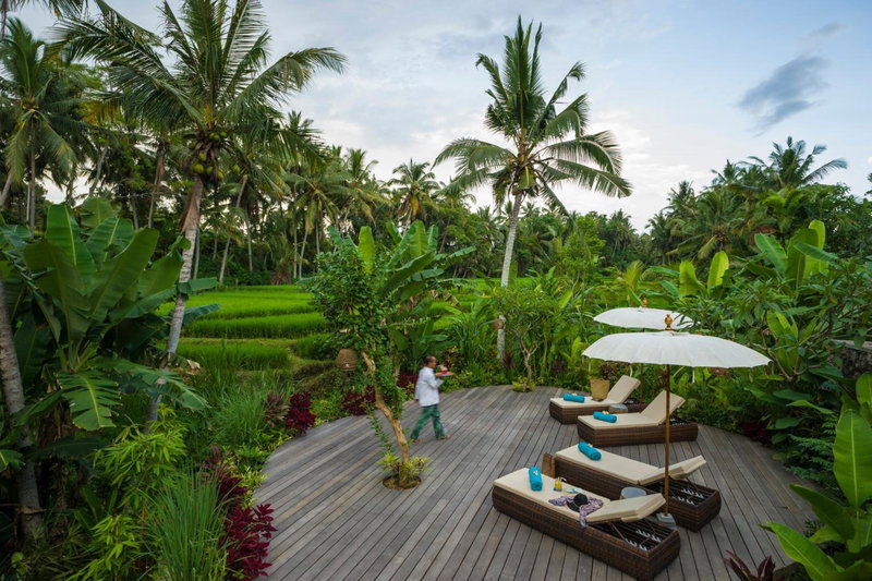 Calma Ubud Suite & Villas - Rice Fields View, Infinity Pool !, Ubud, Indonesia