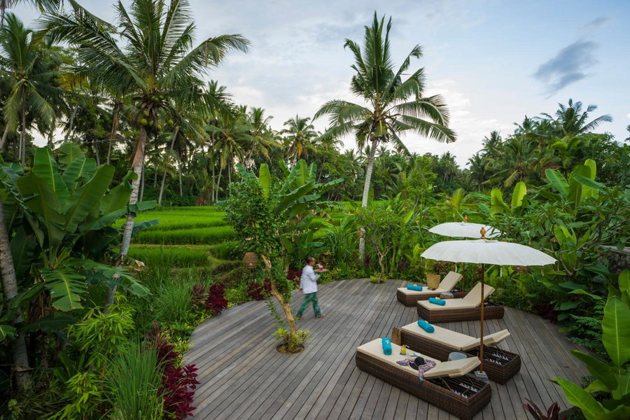 Calma Ubud Suite & Villas - Rice Fields View, Infinity Pool !, Ubud, Indonesia