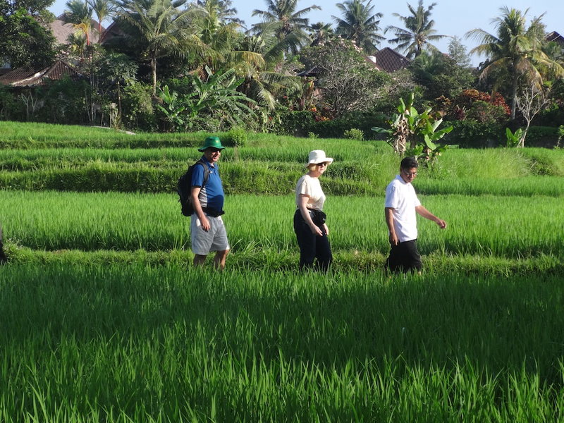 The Sungu Resort & Spa, Ubud, Indonesia