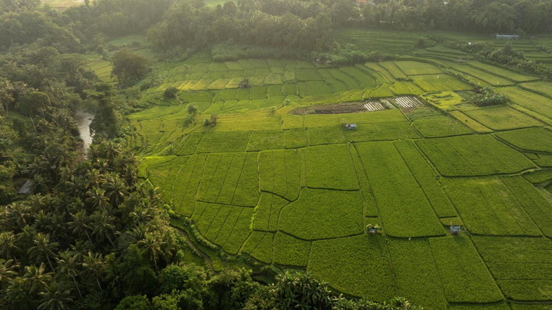 Bambu Indah Resort, Ubud, Indonesia