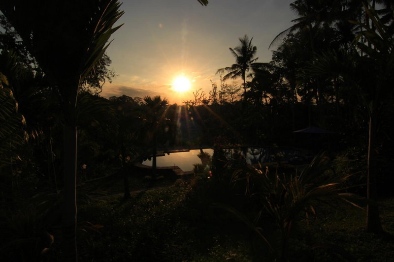 Villa Capung Mas Ubud, Ubud, Indonesia