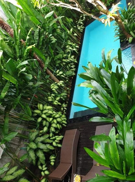 The Pavilion Hotel Kuta, Kuta, Indonesia