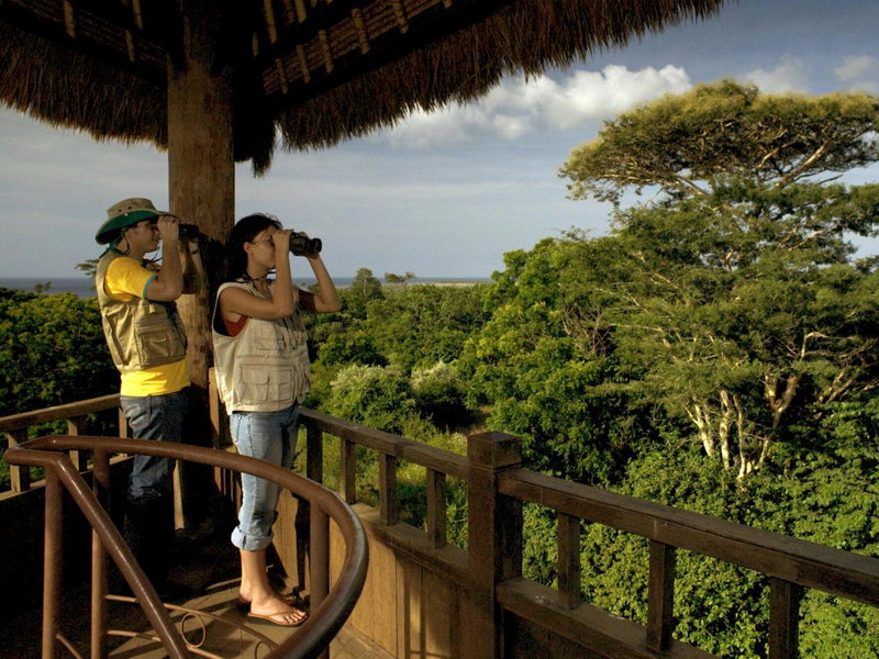The Menjangan by LifestyleRetreats, Banyuwangi, Indonesia