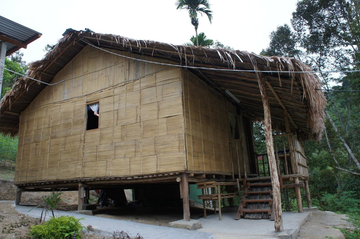Rain Forest Inn, Malaysia