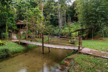 Rain Forest Inn, Ringlet, Malaysia