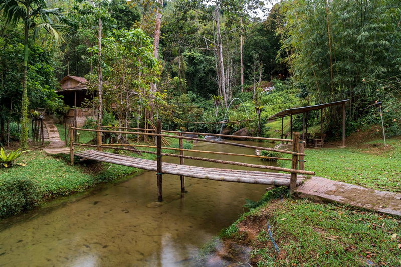 Rain Forest Inn, Ringlet, Malaysia