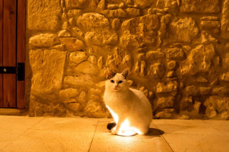 Harma Traditional Boutique Suites, Paphos, Zypern