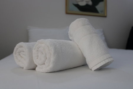 Manacá Hotel, Foz do Iguacu, Brazil