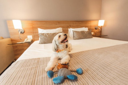 Comfort Suites Londrina, Londrina, Бразилия