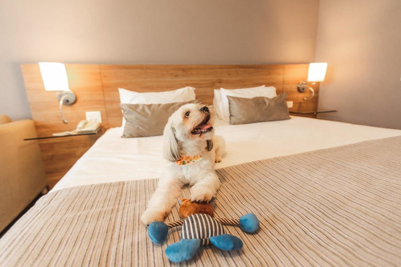 Comfort Suites Londrina, Londrina, Бразилия
