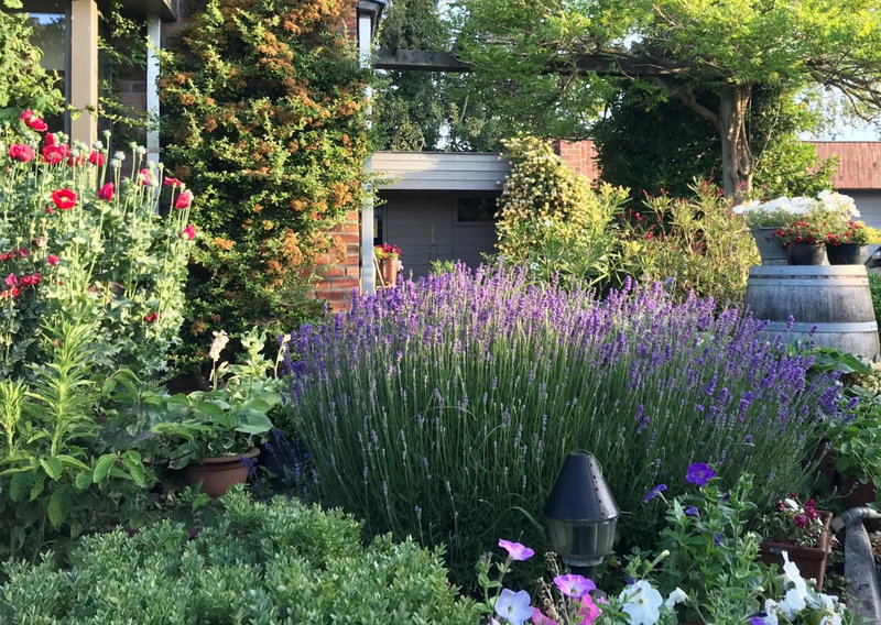 Grysperre B&B, Torhout, Belgium