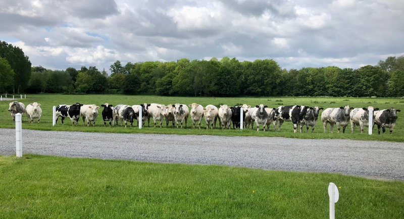 Ferme Delgueule, Tournai, Belgium