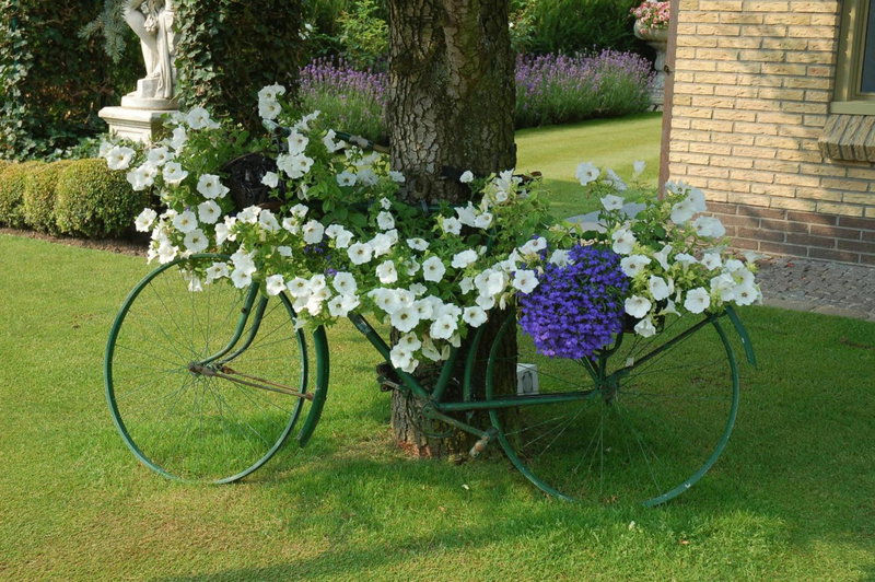 B&B Bloemenweelde, Kortrijk, Бельгия