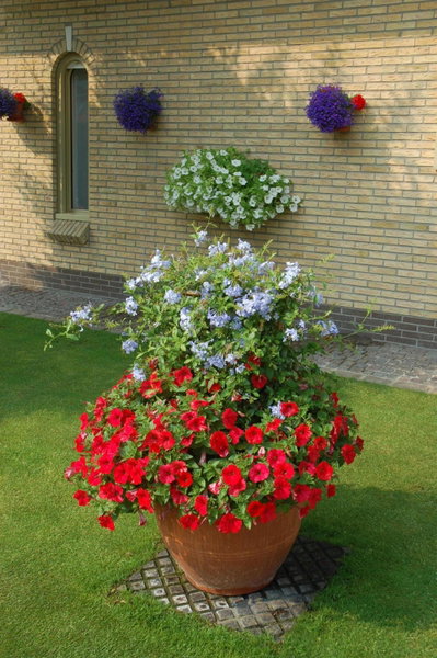 B&B Bloemenweelde, Kortrijk, Бельгия