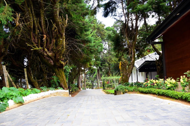 Mirage Kings Cottage, Nuwara Eliya, Sri Lanka