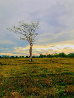 Ceylon Breeze Sigiriya, Dambulla, Sri Lanka
