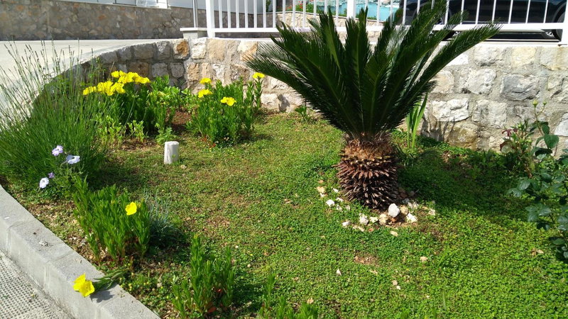 Guest House Eight Roses, Dubrovnik, Croatia