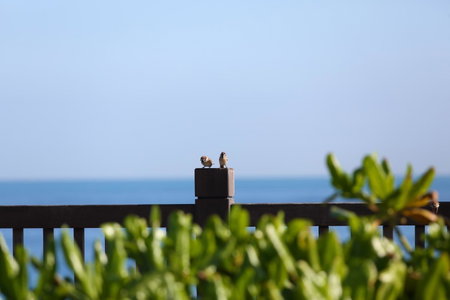Seven Stars Sunrise,Seven Stars DEAR, Hualien City, 台湾
