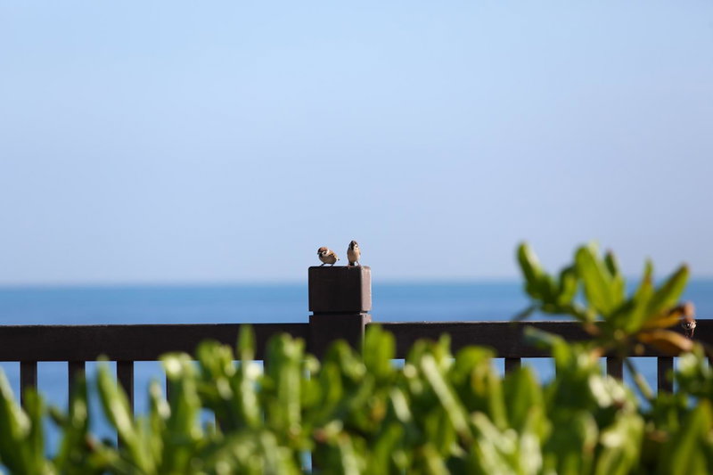 Seven Stars Sunrise,Seven Stars DEAR, Hualien City, 台湾