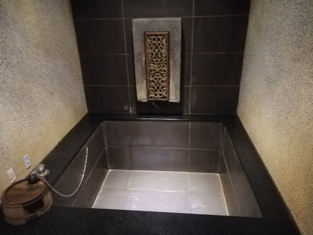 SHAN-YUE hotspring hotel, Taipei, 台湾