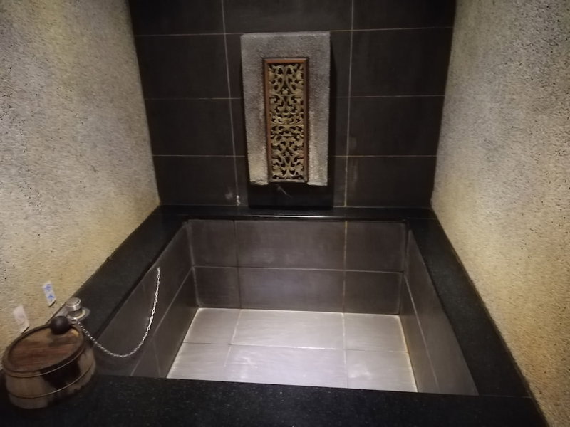 SHAN-YUE hotspring hotel, Taipei, 台湾