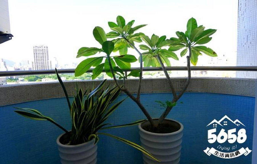 R8 Eco Hotel, Kaohsiung, 台湾